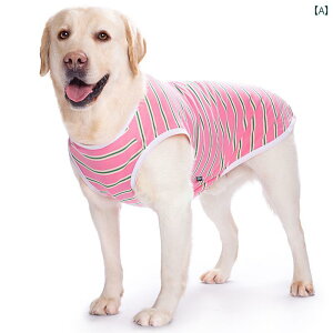 ybg  t ^  xXg   S[fgo[ uh[ AXJ ^ ^  ybg  Ăh~ 