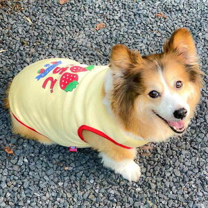 ybg  t ybg H~  g xXg R[M[ efB rV ^  2024 킢  