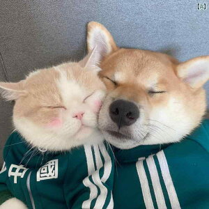 ybg  t ybg L   GA Rbg X|[cEFA ^ ^ ^   h~ tH  R[g