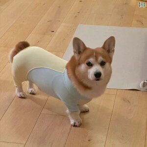 ybg  t p l   e  h~ AEghA  h~  h~  I ی  R[M[ Č