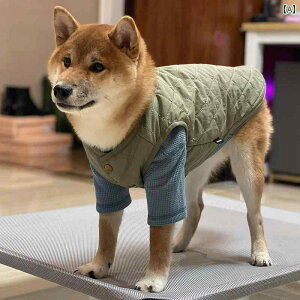 ybg  t NINKIN p xXg efB t`uhbO R[M[ Č q   q̓I  g H~