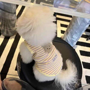 񂿂 ybg  H~  xXg N}  [NV[eA rV }`[Y efB |jA ^  ۉ