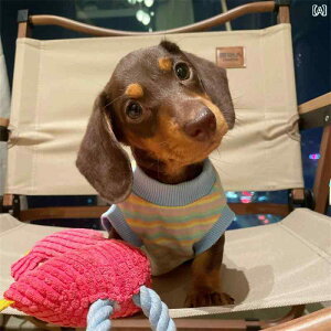 񂿂 ybg 킢 _bNXtg  q  t   }`[Y V[Y[ ybg L Ăh~ E h~ xXg