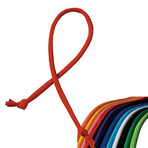 SCEPTRE Zv^[ wbhMA[p AWXg[X wbhLbv J[[X Or[ S[h