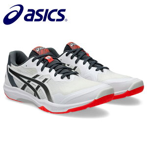 �o���[�{�[���V���[�Y�@�A�V�b�N�X�@���[�e�W���p�����C�gFF3�@ROTEJAPANLYTEFF3�@1053A054�@104�@�z���C�g×�K�����^���@��������