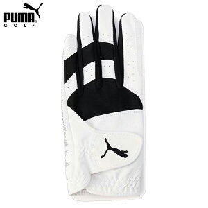 St@܁@v[}@zCg@@041881@01@Y St t[W Obv O[u 2.0@zCg×ubN@lR|X\