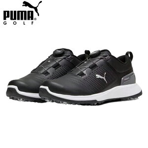 St@V[Y@XpCN@379211@04@v[}@PUMA@Obvt[W tbNX fBXN XpCN V[Y@ubN×O[