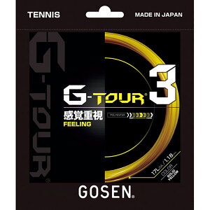 S[Z XgOX dejXXgOX G-TOUR3 17L TSGT32 (SY)\bhCG[ YEjZbNX