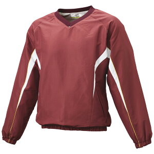 GXGXPC EFA OhR[g WjA VlbNbVvW BWP2413J (2210)GW×zCg WjA