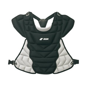 GXGXPC veN^[pi ̑veN^[pi N\tgpveN^[ CNSPJ110C (9096)ubN×Vo[O[ WjA