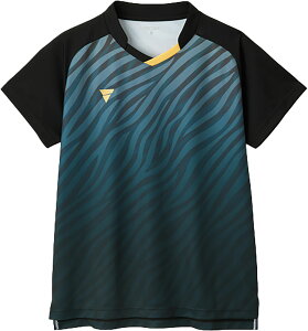 BN^X 싅 Q[Vc Q[VcEpc V-GS501 512501 1000 ubN jZbNX