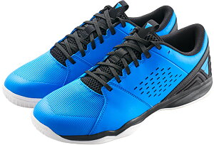 ヴィクタス 卓球 シューズ シューズ トライアンエヴォルブ V 552501 5000 ブルー ユニセックス