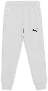 v[} TbJ[ pc A_[Vc PUMAFTBL TRAVEL pc 660133 33 Feather Gray Y