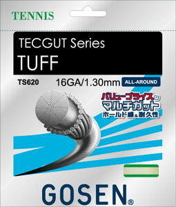 S[Z ejX Kbg KbgEo[ TUFF 16 zCg TS620W zCg