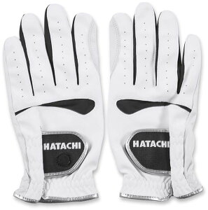 n^` OEhSt  rvO[u BH8043 1 zCg