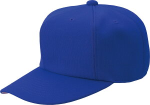 [bg 싅\tg{[ Xq ZI[jbg x[X{[Lbv BH121 2500 Cu[