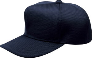 [bg 싅\tg{[ Xq Zp^_ubVLbv BH131N 2900 lCr[