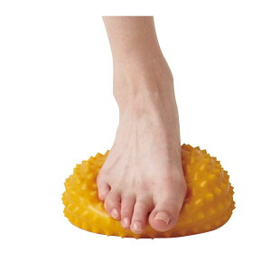 n^ p[\ig[jOpi ̑p[\ig[jOpi oX|bh DBP200 YEjZbNX