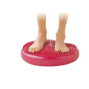 n^ p[\ig[jOpi ̑p[\ig[jOpi oXfBXN DK380 YEjZbNX