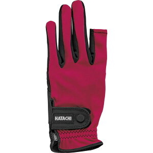 n^` Z St Xgb` BH8080 (66)C YEjZbNX