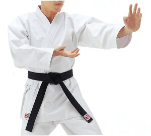 NTN iZ  N 10 蒅 2 㒅 R1NC2 R1NC2