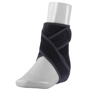 fB[AhG T|[^[ ̑T|[^[ AXfBT|[^[ 肵߂ X[u^CvN  109738 ubN YEjZbNX