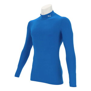 v[} EFA A_[iCi[jVc RvbV bNlbN LS Vc 656331 (10)Puma Royal