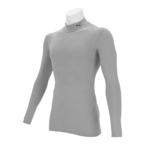 v[} EFA A_[iCi[jVc RvbV bNlbN LS Vc 656331 (13)Puma Silver