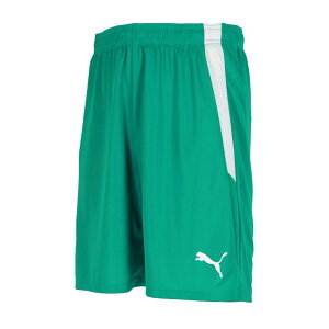 v[} EFA Q[pc TEAMLIGA Q[pc 705151 (05)Pepper Green-Puma White