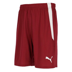 v[} EFA Q[pc TEAMLIGA Q[pc 705151 (09)Cordovan-Puma White