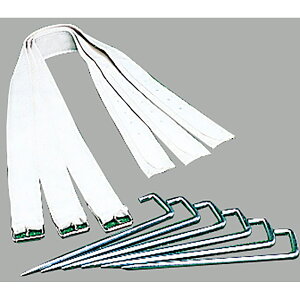 GXGXPC {ݔi x[XEv[g x[Xxg(1{) YMBR YEjZbNX