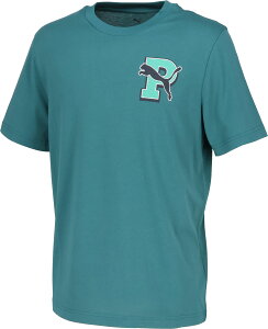 �v�[�} �}���`�X�|�[�c T�V���c T�V���c GRAPHIC ���@�[�V�e�B T�V���c 694086 41 Emerald Ice �����Y