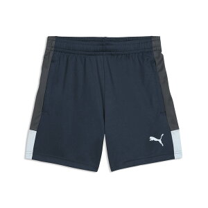 �v�[�} �E�F�A �Q�[���p���c IndiviLIGA TR �V���[�c Jr 660974 (02)Mineral Cobalt-Mint Jelly-Strong Gray �W���j�A
