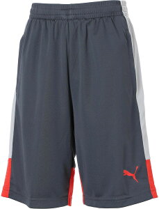 �v�[�} �T�b�J�[ �p���c �g���[�j���O�E�F�A INDIVILIGA TR �V���[�c JR 660974 1 Gray Echo-Dusky Gray-PUMA Red �W���j�A