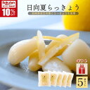 ＼スーパーSALE★10％OFF／日向夏らっきょう 90g×5袋 宮崎県産 国産 都城 日向夏 柑橘 甘酢 おつまみ だれやめ 焼酎 日本酒 ご飯のお供 箸休め さわやか あっさり 着色料不使用 食物繊維 塩漬け 乳酸発酵 ギフト 贈り物 ソーシャルギフト 【父の日・夏ギフト対応可】
