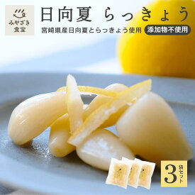日向夏らっきょう 90g×3袋 宮崎県産 国産 都城 日向夏 柑橘 甘酢 おつまみ だれやめ 焼酎 日本酒 ご飯のお供 さわやか あっさり 着色料不使用 食物繊維 塩漬け 乳酸発酵 ギフト 贈り物 お土産