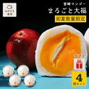 【お中元・夏ギフト対応可】】宮崎マンゴーまるごと大福 4個セット お菓子の小山田 フルーツ大福 グルメ マンゴー和菓子 ギフト プチギフト プレゼント お取り寄せ 国産 九州 宮崎 都城 スイーツ 親戚 自分用 母の日 父の日 30代 40代 50代
