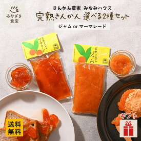 【バレンタイン・冬ギフト対応可】みなみハウス 選べる2袋セット 1袋 120g 国産 九州 宮崎 都城 糖度18度以上 種なし 種無し 完熟きんかんジャム マーマレード グルメ 健康 栄養豊富 ビタミン ドリンク スイーツ 調味料 コンフィチュール 送料無料 クリスマス
