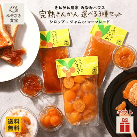 【バレンタイン・冬ギフト対応可】みなみハウス 完熟きんかん 3種セット シロップ／300g ジャム・マーマレード／120g 国産 九州 宮崎 都城 甘露煮 グルメ 健康 ドリンク ソーダ割 お湯割 スイーツ ヨーグルト コンフィチュール 種なし 種無し 贈り物 クリスマス