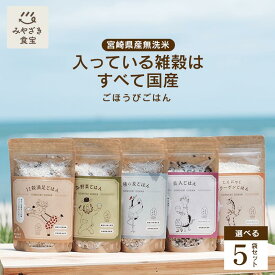 ごほうびごはん 250g 選べる5袋セット 1袋おにぎり約5～6個分！ DANBO＊DELI 2合 無洗米 雑穀米 宮崎県産 国産キャンプ 非常食 送料無料 ダンボデリ だんぼでり ギフト 贈り物 贈答 プレゼント お弁当 健康 カルシウム ビタミン 食物繊維 コラーゲン