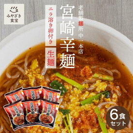 宮崎辛麺 6袋セット 本場の味 中一本店 ご当地ラーメン 生麺 こんにゃく麺 送料無料