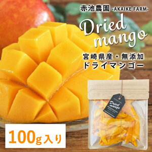 {茧Y YhC}S[ 100g Y sgp Y hCt[c