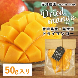 {茧Y Y hC}S[ 50g Y sgp Y hCt[c