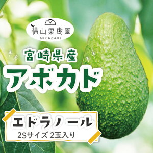 �y10�����{����菇�������z�y���������z�{��Y�A�{�J�h�u�G�h���m�[���v2S�T�C�Y(150g~199g)×2�ʃp�b�N���� �y���Y�A�{�J�h�z�y���Y�t���[�c�z�y�t���[�c�M�t�g�z