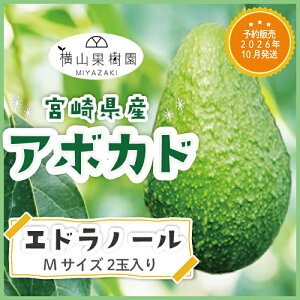 y\̔ 2026N10z{YA{JhuGhm[vMTCY(250g~299g)×2ʃpbN YA{Jh Yt[c t[cMtg