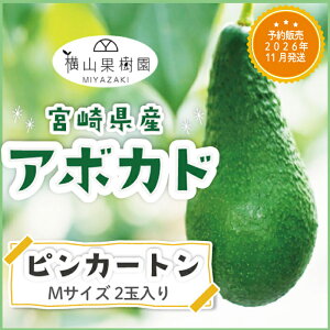 y\̔ 2026N11z{YA{JhusJ[gvMTCY(250g~299g)×2ʃpbN YA{Jh Yt[c t[cMtg