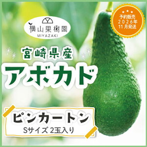 y\̔ 2026N11z{YA{JhusJ[gvSTCY(200g~249g)×2ʃpbN YA{Jh Yt[c t[cMtg