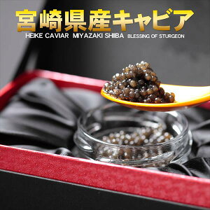 y{茧Y LrA z{ ŗtƃLrA ϔ 10g `EUgp YLrA