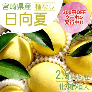 yyVX[p[SALE N[|szy2025N12{菇z{茧Y Ȃ 14/2.5kg Î_ς u₩ {茴Y̊󏭂ȃt[c fR| |J ȂǊkD