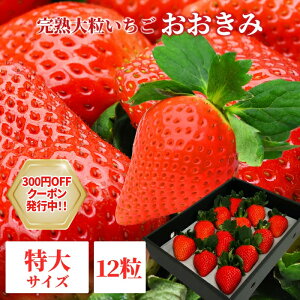 yyVX[p[SALE N[|sz嗱  y {茧Y  TCY 12 z380gȏ(130`39g)  l bZ[WJ[hΉ C`S  嗱  x Mtg 